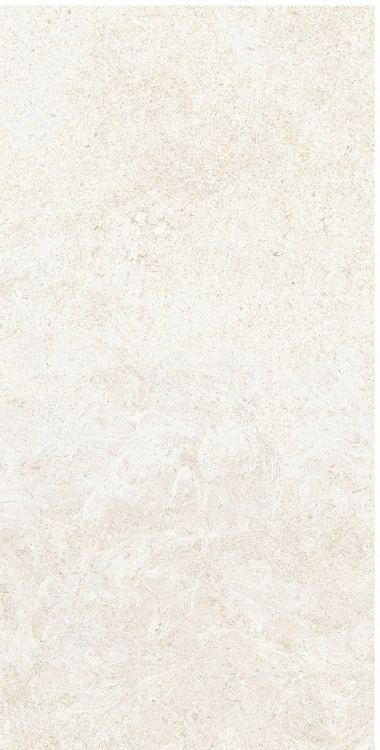 OL Limestone Avorio Matte 12 x 24